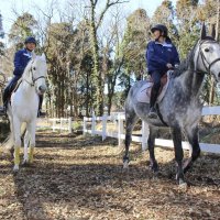 引退競走馬に幸せな余生を　殺処分に一石、新たな活躍の場も　八街の馬事学院が専用牧場