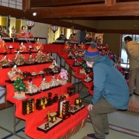 由緒ある館にひな人形３００体　東金八鶴館　市民グループが展示