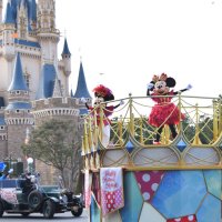 ショーも料理も！ミニー一色　ＴＤＲ　トータリー・ミニーマウス　【舞浜タイムズ２月号】