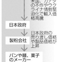小麦高騰、千葉県内企業に余波　不作、ウクライナ情勢影響　原油高「下がる要素なく」