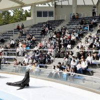 修学旅行出発前日に「中止」　教頭「行かせてあげたかった」　卒業目前、開催模索も感染者　【ちば特　千葉日報特報部】 