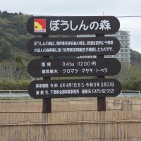 「ぼうしんの森」の看板

