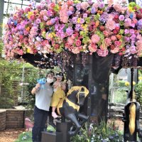 華やか回転木馬、京成バラ園に初登場　おとぎの世界、写真映え　八千代