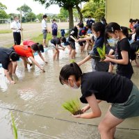 “学校産の米”できるかな　いすみ　長者小　校庭の畑を田んぼに