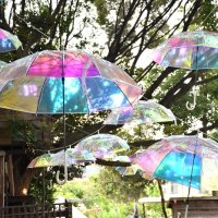 千葉公園と「椿森コムナ」に登場する「傘の森」＝イメージ、ＹｏｈａＳ運営事務局提供
