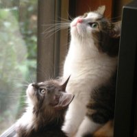 ※写真はイメージ