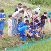 フカフカアイガモ水田へ　長柄の長生ファーム　子どもら放鳥