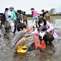 湿地保全へ児童ら奮闘　習志野の谷津干潟　市ＰＲ大使もアオサや瓶回収