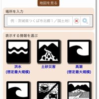 ハザードマップポータルサイトの災害情報
