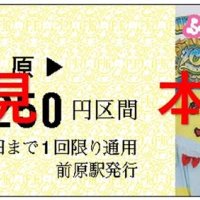 ふなっしー地上降臨１０周年の記念乗車券（新京成電鉄提供）
