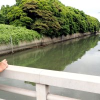 日鉄敷地外に脱硫液漏出　有害物質シアンを検出