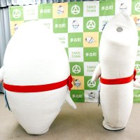 新型（左）と旧型を比較するとふっくら具合が違うのが分かる