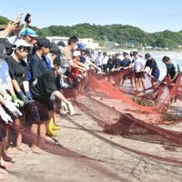 夏本番も涼しい勝浦　千葉県で唯一、最高気温まだ３０度未満　海風入りやすい地形影響か