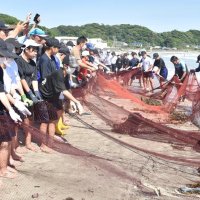 力合わせ伝統漁法学ぶ　勝浦中生、地引き網体験