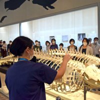 クジラの魅力を紹介　千葉県立中央博で特別展　知事「体系的で勉強になる」