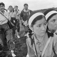戦争語り継ぐ映画祭　吉永小百合さんトークショーも　８月１０日から流山