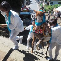 伝統の「神馬」奉納　石段駆け上がり大漁、豊作祈願　君津・人見神社