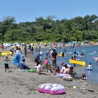 雲一つない青空の下、多くの海水浴客でにぎわう沖ノ島海水浴場＝２３日、館山市