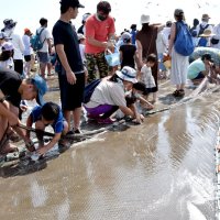 アジやスズキ大漁　旭で親子ら歓声　力合わせ地引き網