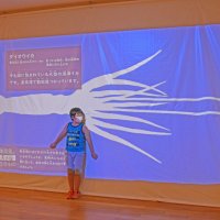 東京湾でも見つかった「ダイオウイカ」の大きさも等身大で実感