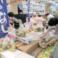 ひょうで被災「市川の梨」イオン市川妙典店で販売　来週以降、千葉県内イオン系列店でも　「甘さ、みずみずしさ変わらない」
