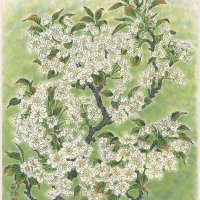 池田蘭径「梨花」（市川市提供）
