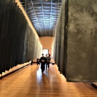白と黒で「多彩」な表現　船橋・子ども美術館　荒井さん墨でアート　和紙２００枚、濃淡感じて