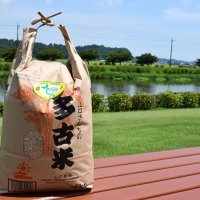 返礼品として人気を集めている千葉県を代表するブランド米「多古米」

