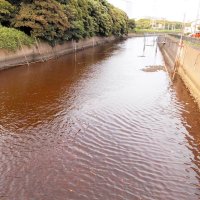 「脱硫液」の流出で赤黒く染まる水路＝６月１９日１８時ごろ（君津市提供）