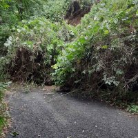 土砂崩れでふさがった道路＝１４日午前１１時５５分ごろ、酒々井町墨