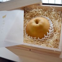 船橋産巨大梨、桐箱入りで１万円　農家や工房、スーパーなど連携し商品化　「高級ギフトに」価値底上げ