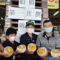 農家が厳選して出荷した新高梨。１玉の重さは約１・１～１・２キロ＝２４日朝、船橋市場内の長印船橋青果