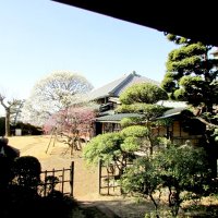 戸定邸と庭園