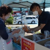 ひょう害梨販売　被害農家を応援　道の駅・みのりの郷東金