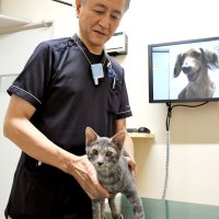 五感重視し変化を発見　警察犬などを診察する動物病院長・渡辺言之さん（６１）　【ひと模様】