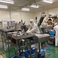 強みは魚と時流読む力　株式会社 いとう商店（旭市）　【輝く！千葉の企業　日本政策金融公庫レポート】（９２）