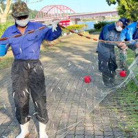 ワカサギ成育順調　１０月８日釣り解禁へ調査　市原・高滝湖　「大きめ多く狙えそう」