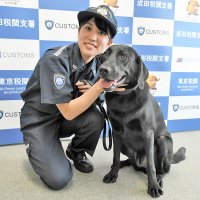 ”ワン”ダフル！新米麻薬探知犬レミ号、異例の早さで初手柄　貨物から乾燥大麻発見　成田空港