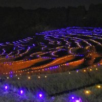 青や紫鮮やかに　棚田照らす幻想的な光　鴨川・大山千枚田でライトアップ