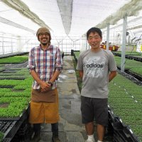 「接木苗」で野菜作り支援　株式会社グラフトワークス（横芝光町）【輝く！千葉の企業　日本政策金融公庫レポート】（９３）