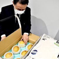 ＪＡいちかわが持参した梨の品種「王秋」