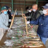 自然薯うまいよ！　シーズン迎え販売開始　市原