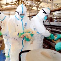 家畜伝染病に備え訓練　発生時の初動確認　山武で千葉県
