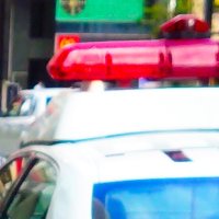 【速報】体長１５０センチの大型犬逃走か　３０人態勢で捜索も見つからず　四街道