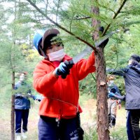 ノコギリ手に枝打ち　山武　小中生が森林保全に汗