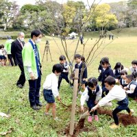 より愛される“桜城址”に　佐倉で植樹式　伊藤園が苗木６本寄贈
