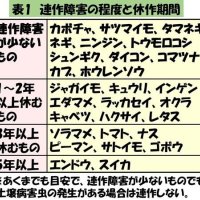 連作を避けよう　「科」ごとに分け作付け　菜園計画作り（１）　風間龍夫　【野菜レッスン】　（１３６）