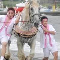 浜辺を馬が駆ける　神輿を池に投げる　千葉特有「お浜降り」に焦点　千葉県中央博物館　多彩な形態と魅力紹介