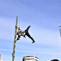 青空に映える軽妙な体さばき＝６日、船橋市