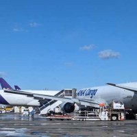 【速報】成田空港　貨物機がスリップ、機材に接触　駐機スポットの路面が凍結か